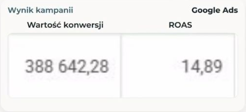 Google Ads: 388 642,28 zł wartości konwersji i ROAS 14,89.