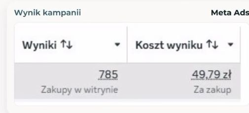 Meta Ads: 785 zakupów w witrynie, średni koszt zakupu 49,79 zł.